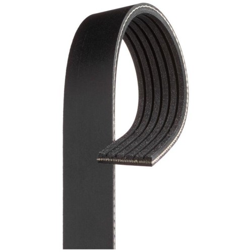 Cinghia poly gates - poly, v