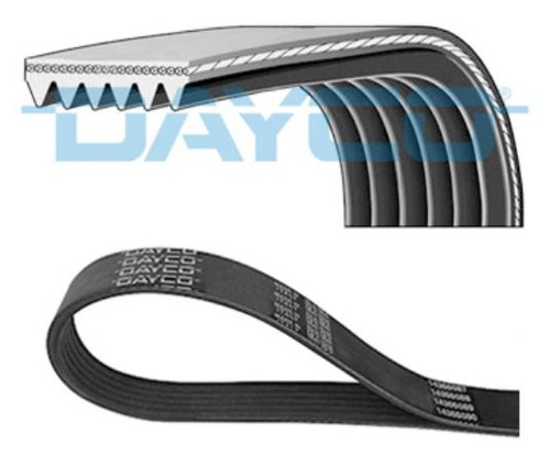 Cinghia poly 6pk1155 dayco - cinghia, poly-v